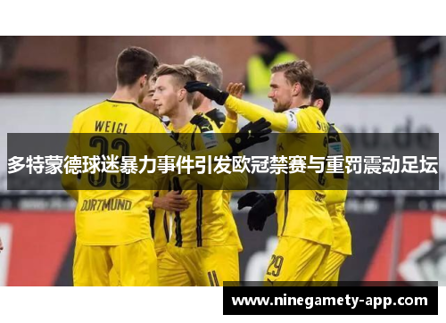 多特蒙德球迷暴力事件引发欧冠禁赛与重罚震动足坛